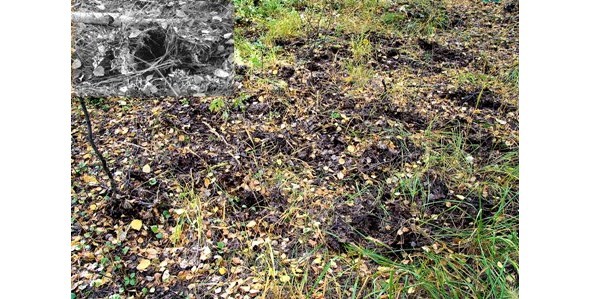 Заметки маленького человека - image14_568c29887d018ff254b4d87c_jpg.jpeg