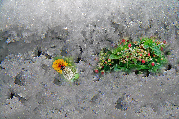 Заметки маленького человека - image15_568c29cd225c1aeb56c572b3_jpg.jpeg