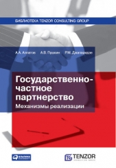 Государственно-частное партнерство: Механизмы реализации - автор Алпатов Андрей 