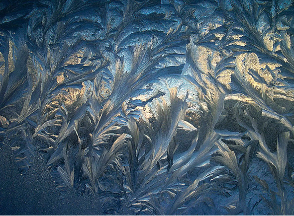 Сказки, былины и притчи - image66_56662ae86fcf720257f6e5ce_jpg.jpeg