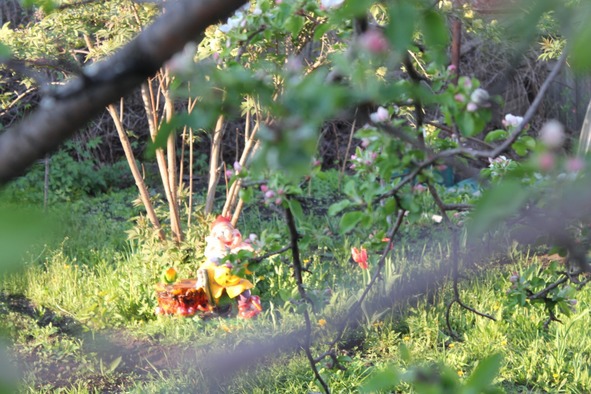 Смартвидео смартфоном - image24_56c0bcd990e44acc20c59fe8_jpg.jpeg