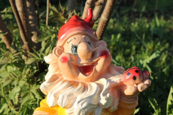 Смартвидео смартфоном - image27_56c0bcd090e44acc20c59fdf_jpg.jpeg