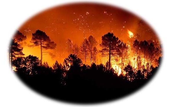 Времена года. Лето - image11_564f84de7804952e0c936a47_jpg.jpeg