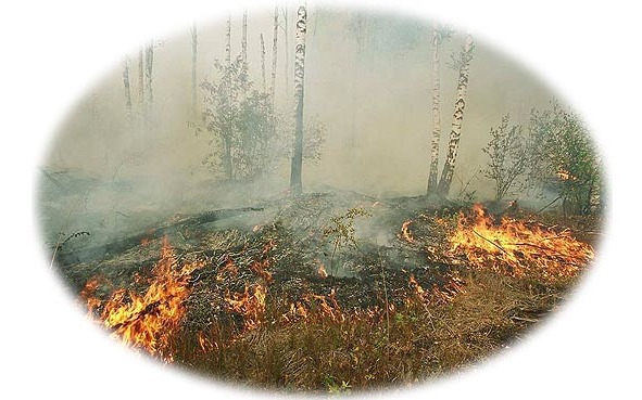 Времена года. Лето - image18_564f8c127804952e0c936d21_jpg.jpeg