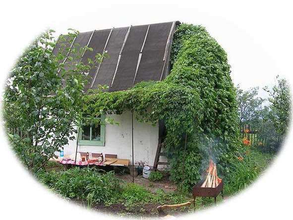 Времена года. Лето - image6_564f7e897804952e0c936790_jpg.jpeg