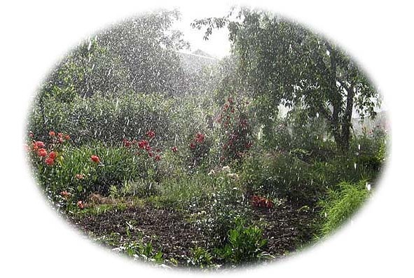 Времена года. Лето - image8_564f81837804952e0c9368c6_jpg.jpeg