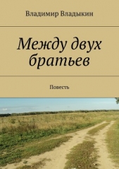 Между двух братьев - автор Владыкин Владимир 