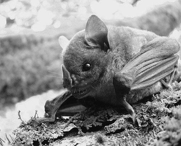 Итоги № 10 (2012) - TAGimg_821_I-10-TELEGR-news-f05_640_jpg730933