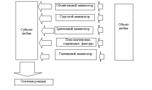 Любовный иммунитет - image24_565b6935a98bd67e73f66a05_jpg.jpeg