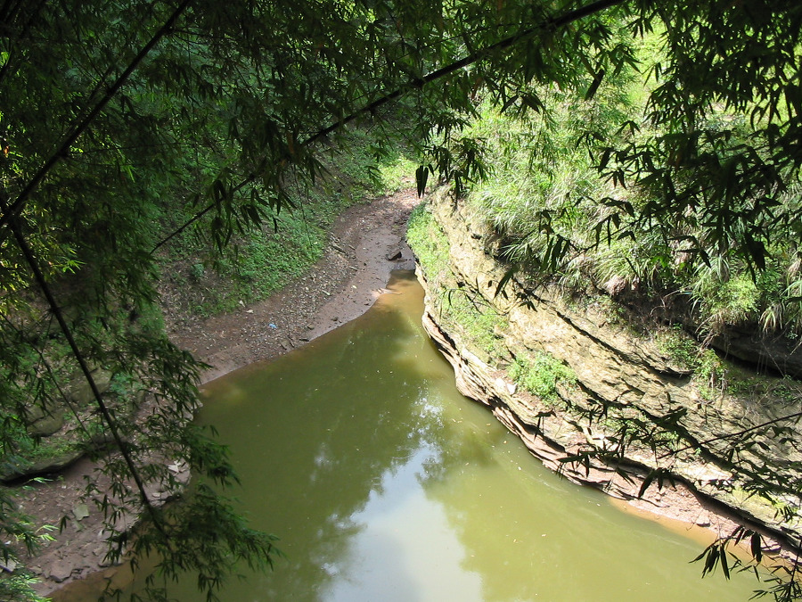 Гнездо «дождливой ласточки» - image9_55cb7e240c01da1474f38f94_jpg.jpeg