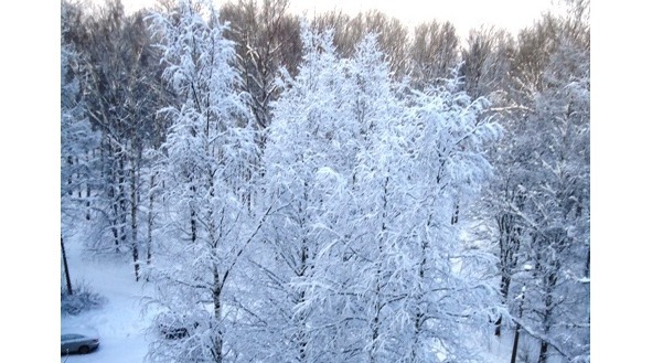 Сквозь високосный год - image0_56a87b7ae2a0fb0500ca0a19_jpg.jpeg