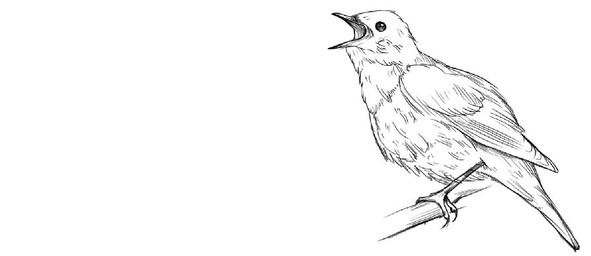 Правдивая история выдуманных событий - image11_56c446b30d1a390500f15a41_jpg.jpeg