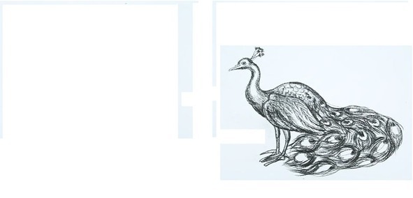 Правдивая история выдуманных событий - image2_56c435f50d1a390500f146ed_jpg.jpeg