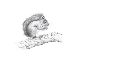 Правдивая история выдуманных событий - image4_56c6d77f0d1a390500f2fa0e_jpg.jpeg