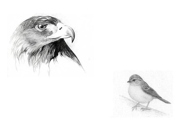 Правдивая история выдуманных событий - image6_56c43fda0d1a390500f153d8_jpg.jpeg