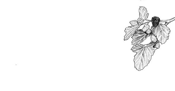 Правдивая история выдуманных событий - image7_56c4428d0d1a390500f15698_jpg.jpeg