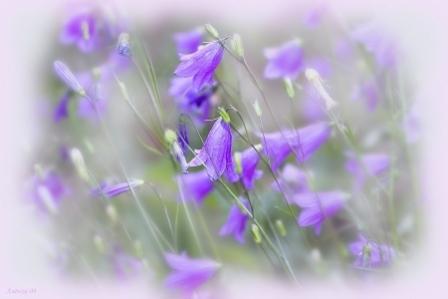 Сборник стихотворений разных лет. 10. - _10s009.jpg