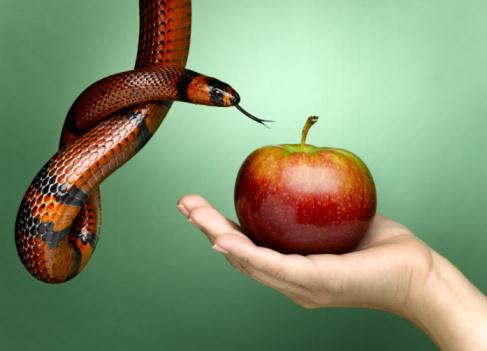 Уроки истории - i_032.jpg