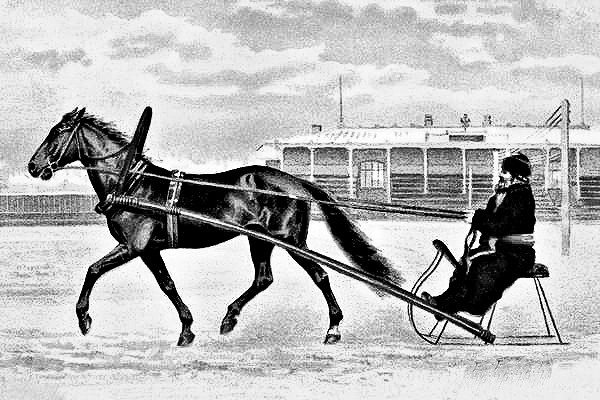 Галопом к столбу - _1.jpg