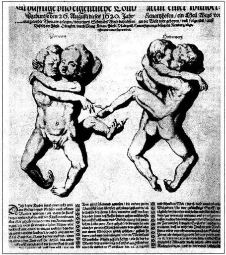 Катастрофы тела - i_178.jpg