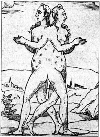 Катастрофы тела - i_185.jpg