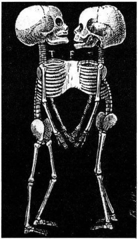 Катастрофы тела - i_187.jpg