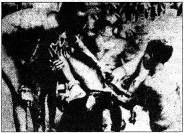 Катастрофы тела - i_233.jpg