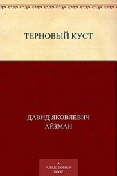  Айзман Давид Яковлевич - Терновый куст