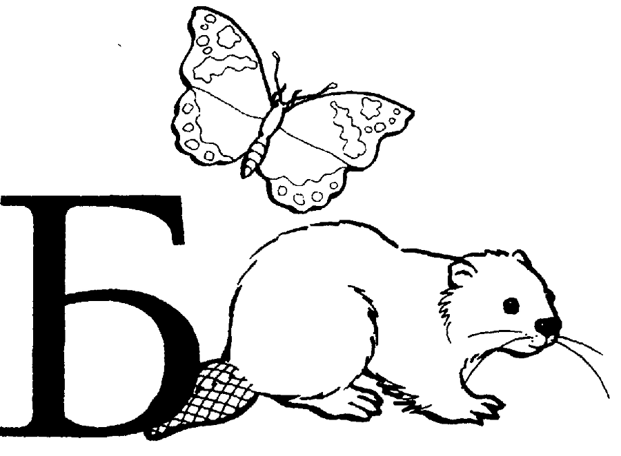 Я познаю мир. Живая природа от А до Я - image9.png