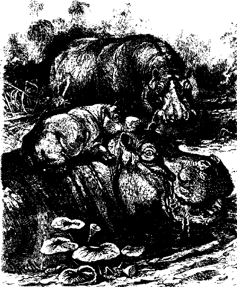 Я познаю мир. Живая природа от А до Я - image15.png