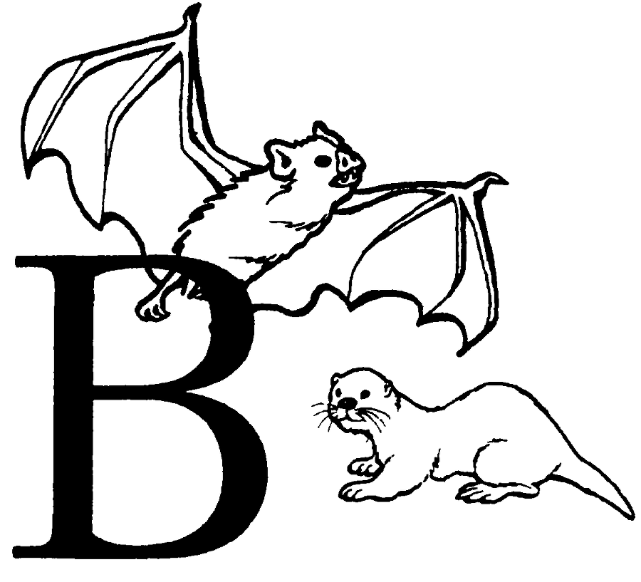 Я познаю мир. Живая природа от А до Я - image23.png