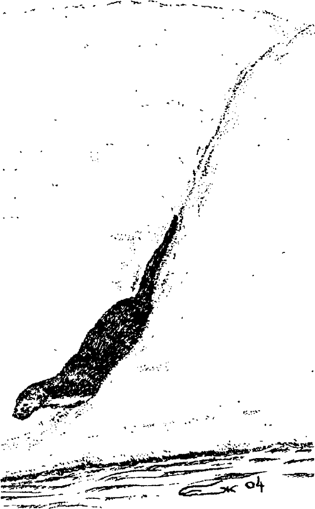 Я познаю мир. Живая природа от А до Я - image34.png