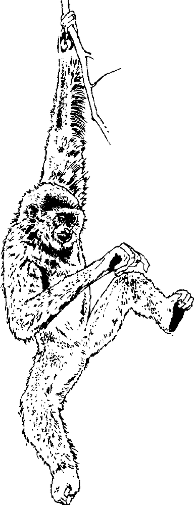 Я познаю мир. Живая природа от А до Я - image37.png