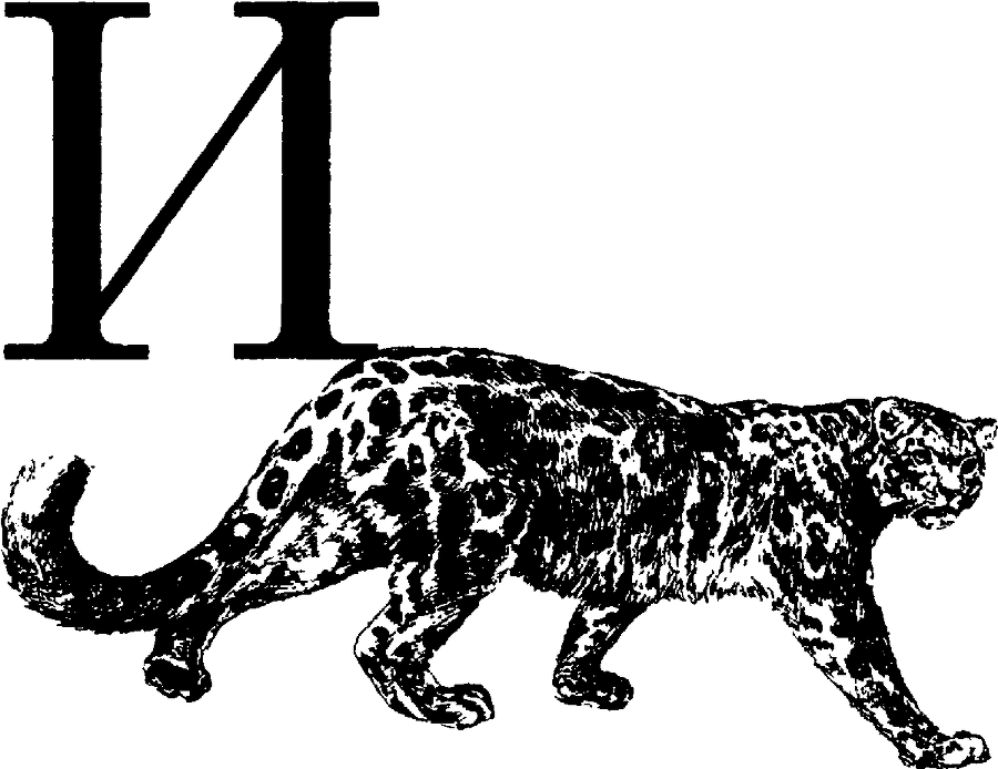 Я познаю мир. Живая природа от А до Я - image64.png