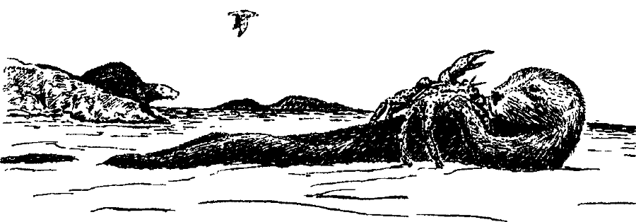 Я познаю мир. Живая природа от А до Я - image70.png