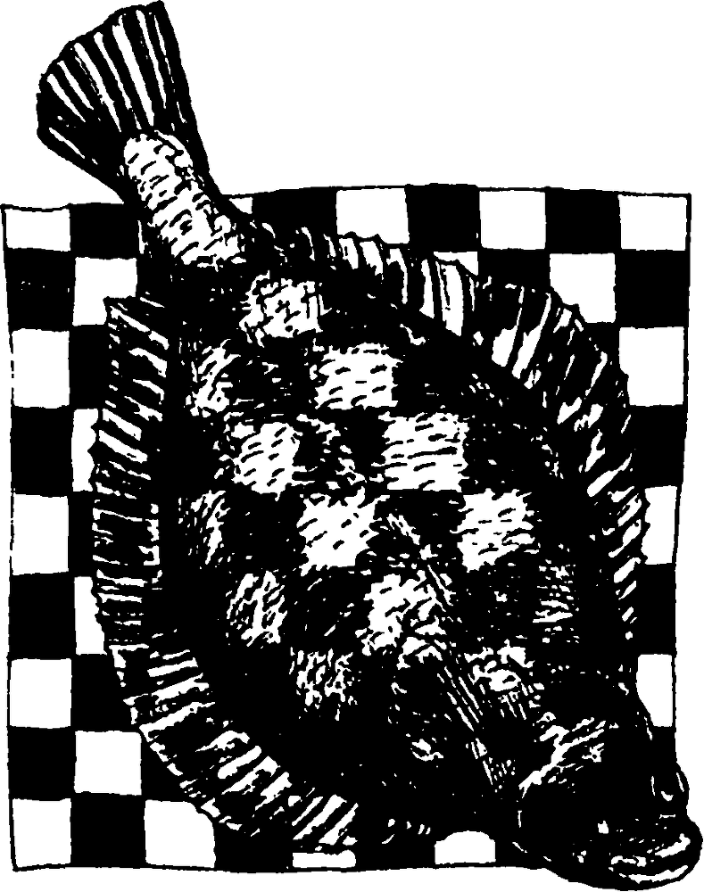 Я познаю мир. Живая природа от А до Я - image73.png