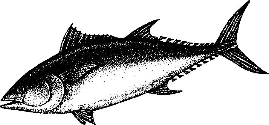 Я познаю мир. Живая природа от А до Я - image190.png