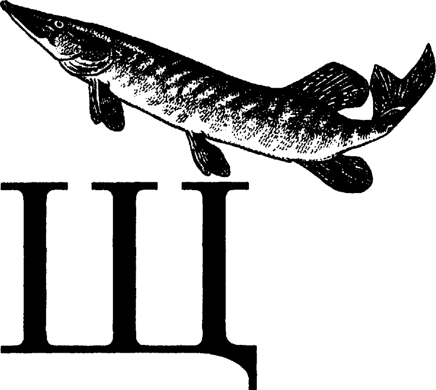 Я познаю мир. Живая природа от А до Я - image223.png