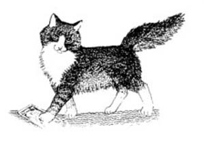 Моя коллекция - i_020.jpg