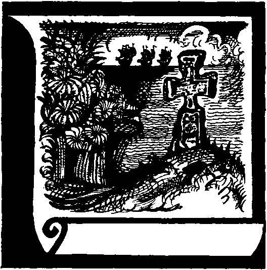 Колумб Австралии - img_26.jpg