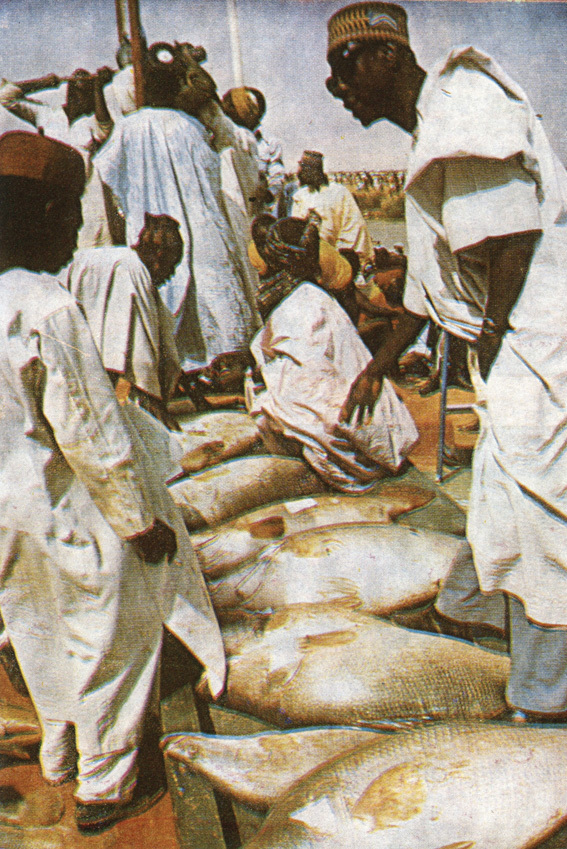 Страна «гирин герен» - i_043.jpg