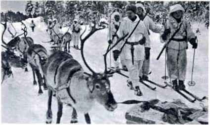 Зимняя война. Форма одежды, снаряжение и вооружение участников советско-финляндской войны 1939-1940 - i_018.jpg