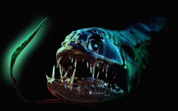 Этот загадочный подводный мир (СИ) - korkosh_155.jpg