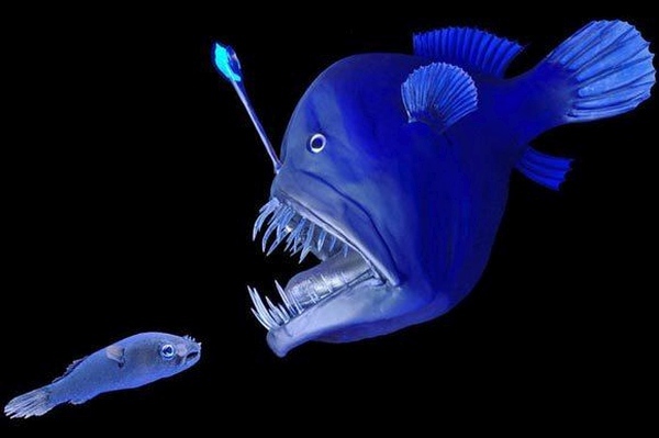 Этот загадочный подводный мир (СИ) - korkosh_157.jpg