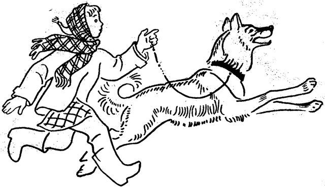 Хозяйка птичьей скалы - i_008.jpg