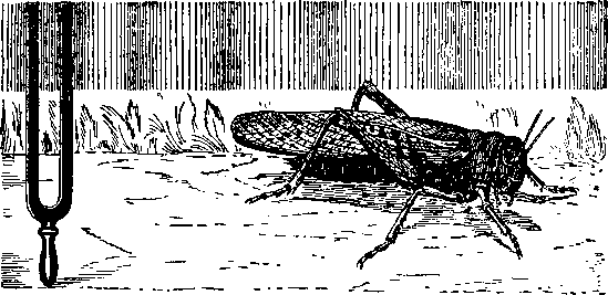 Занимательная зоология - i_010.png