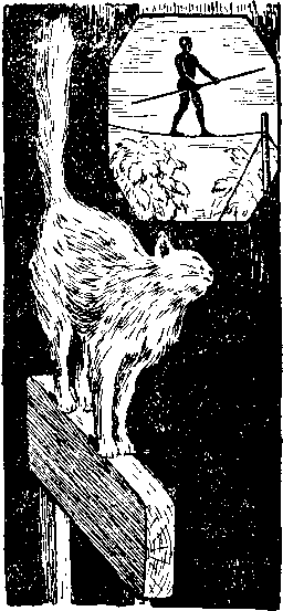 Занимательная зоология - i_020.png