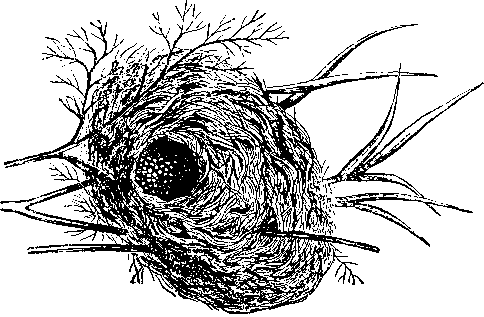 Занимательная зоология - i_037.png