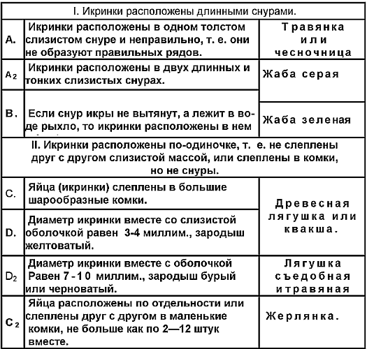 Занимательная зоология - Tablica.png