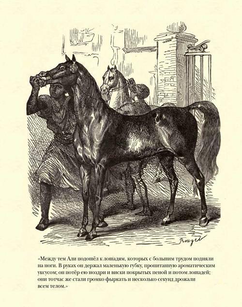 Граф Монте-Кристо ( с иллюстр. ) - imgC496.jpg